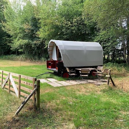 Huifkar In Landelijke Omgeving De Mersken 9 Ureterp Exterior foto